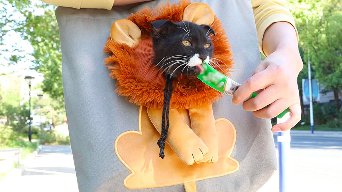 Lion Cat Carrier