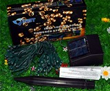Solar Powered Christmas Lights