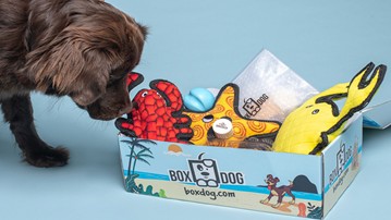 The 12 Best Gift Subscription Boxes for 2020 The 12 Best Gift Subscription Boxes for 2020