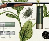 Shotgun Flower Shell