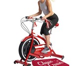Schwinn Classic Cruiser Indoor Bicycle