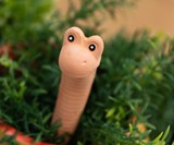 Willy the Worm Water Sensor for Houseplants