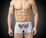 Wolf Crotch Underwear