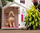 DogSpot - High Tech Public Dog Houses