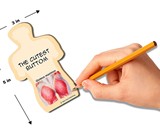 Gluteus Maximus Sticky Notes