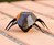 iPhone-Controlled Insects