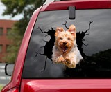 3D Animal Car Window Decals