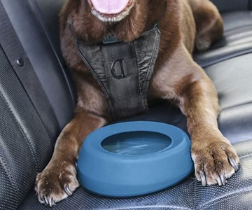 Kurgo No-Spill Travel Dog Water Bowl Kurgo No-Spill Travel Dog Water Bowl
