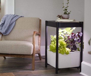 Miracle-Gro Twelve Indoor Growing System