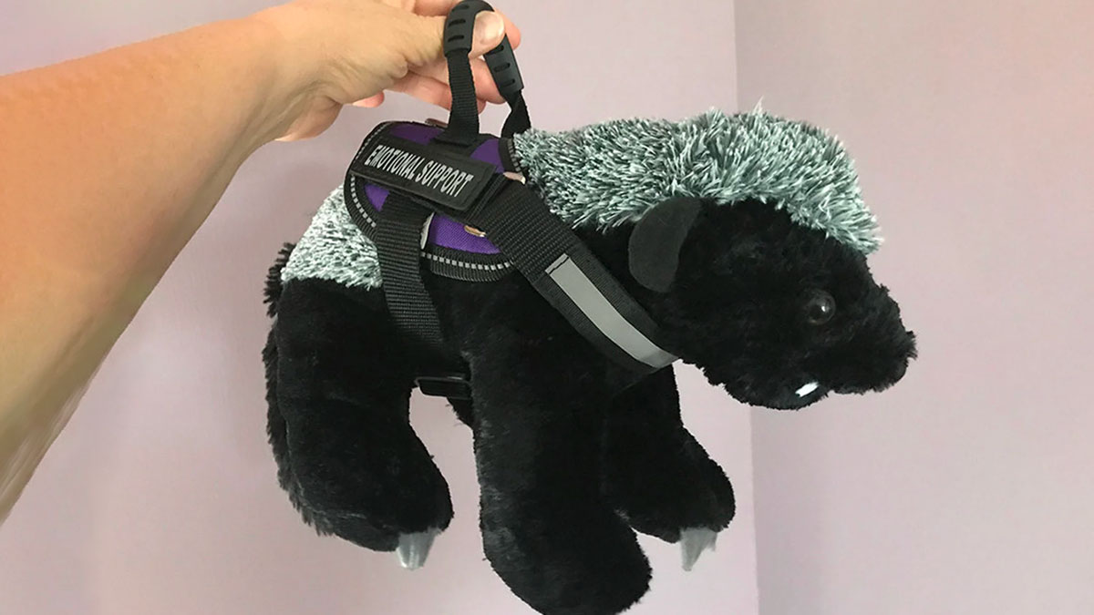 Emotional Support Stuffed Animals Emotional Support Stuffed Animals