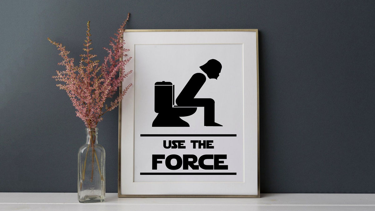 Use the Force Bathroom Art