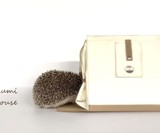 Hedgehog Carry House
