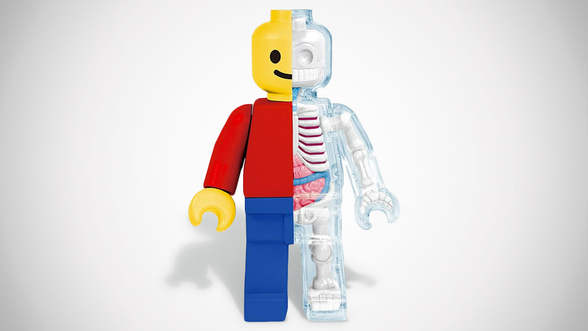 Anatomical Brick Man Anatomical Brick Man