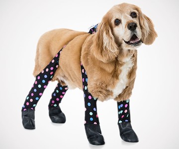 Walkee Paws Waterproof Dog Leggings