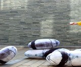 Zen Stone Floor Pillows