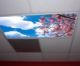 Skypanel Light Diffusers