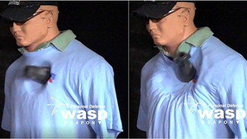 WASP Less-Lethal Weapon Accessory WASP Less-Lethal Weapon Accessory