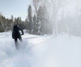 Widescape WS250 Stand-Up Snowmobile