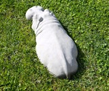 Hippopotamus Lawn Ornament