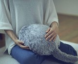Qoobo Therapeutic Robot Pillow