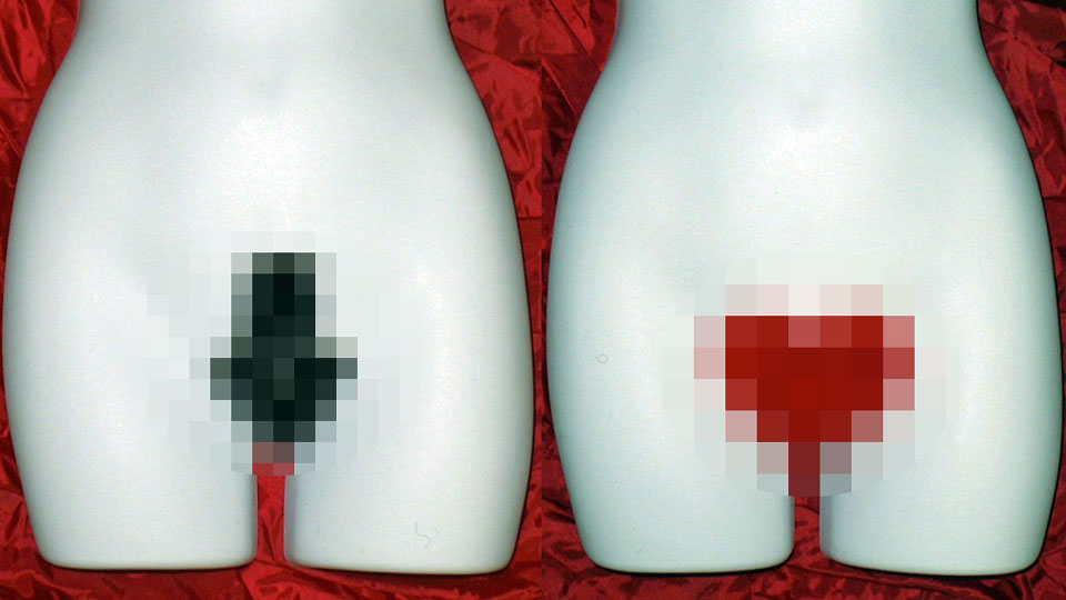 The Original Pussycat Patch Crotch Wigs (NSFW) The Original Pussycat Patch Crotch Wigs (NSFW)