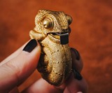 Chameleon Tape Measure