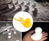 Duckballs - Duck-Shaped Snowball Maker