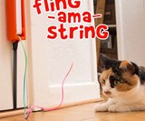 Moody Pet Fling-Ama-String