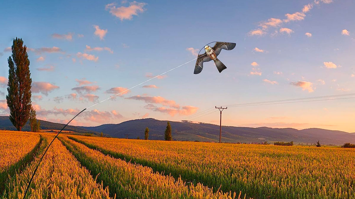 Flying Hawk Kite Bird Deterrent Flying Hawk Kite Bird Deterrent
