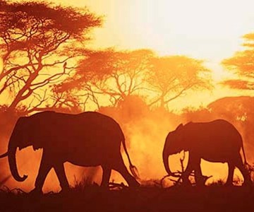 Abercrombie & Kent Private Jet Tour of Africa Abercrombie & Kent Private Jet Tour of Africa