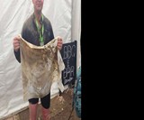 Big Big Body Wipes