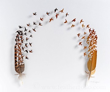 Chris Maynard Feather Art Chris Maynard Feather Art