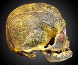 Human Skull Art