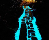 Glowing Pebbles for Walkways, Gardens & Home Decor