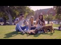 Soylent - Dog Food for Humans