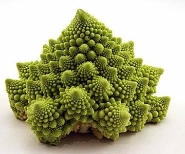Breaking Physics Cauliflower Breaking Physics Cauliflower