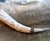 Hand Carved Drinking Horns Hand Carved Drinking Horns