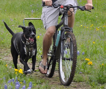 Walky Dog Hands-Free Bicycle Leash