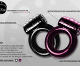SexFit Sexual Fitness Tracker