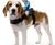 Mailman Dog Rider Costume Mailman Dog Rider Costume