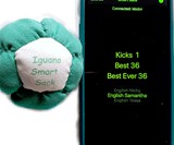 Iguana Smart Sack - App-Enabled Bluetooth Hacky Sack