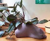 Resting Bear Ottoman