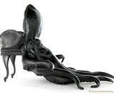 The Animal Chair Collection-3965