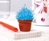 Magicactus Kit - Miniature Crystal Cactus Growing Set