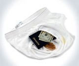 The Brief Safe