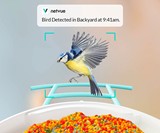 NETVUE Birdfy Lite Smart Bird Feeder with Camera