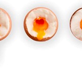 Brainstream BeepEgg Singing Floating Egg Timers