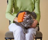 Bump It Off Brush for Fabric, Kitchen, Pets & Body