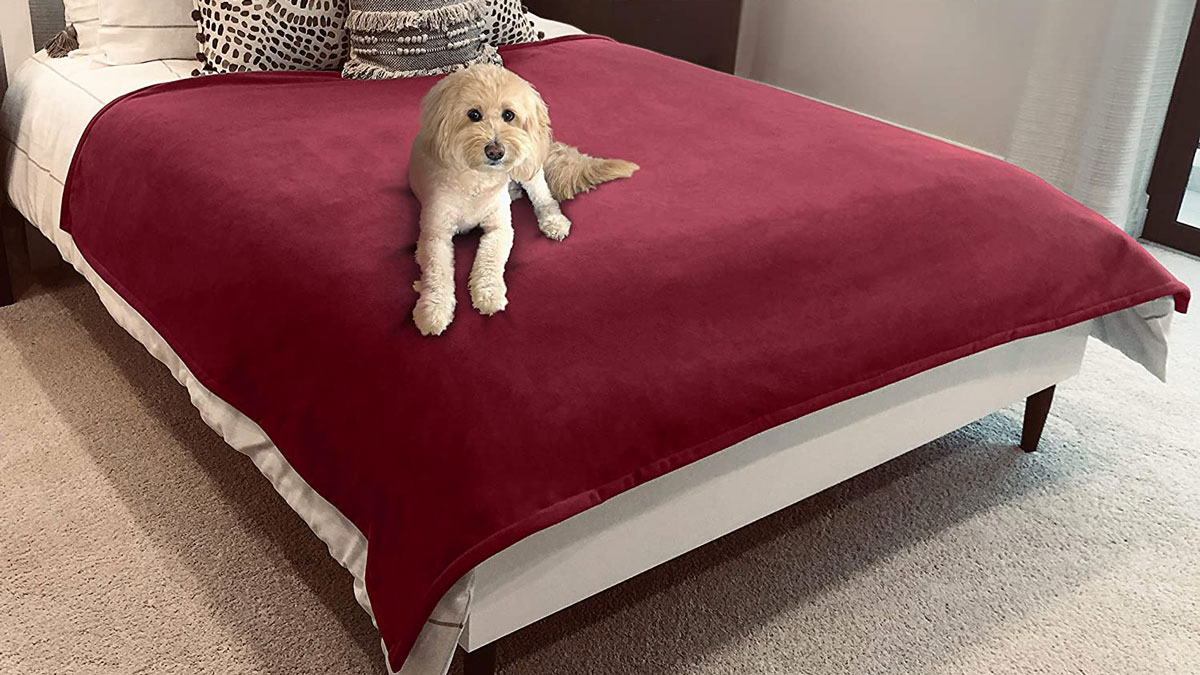 Blue Zoca Waterproof & Pet-Proof Blanket Blue Zoca Waterproof & Pet-Proof Blanket