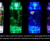 NoClean Desktop Aquarium